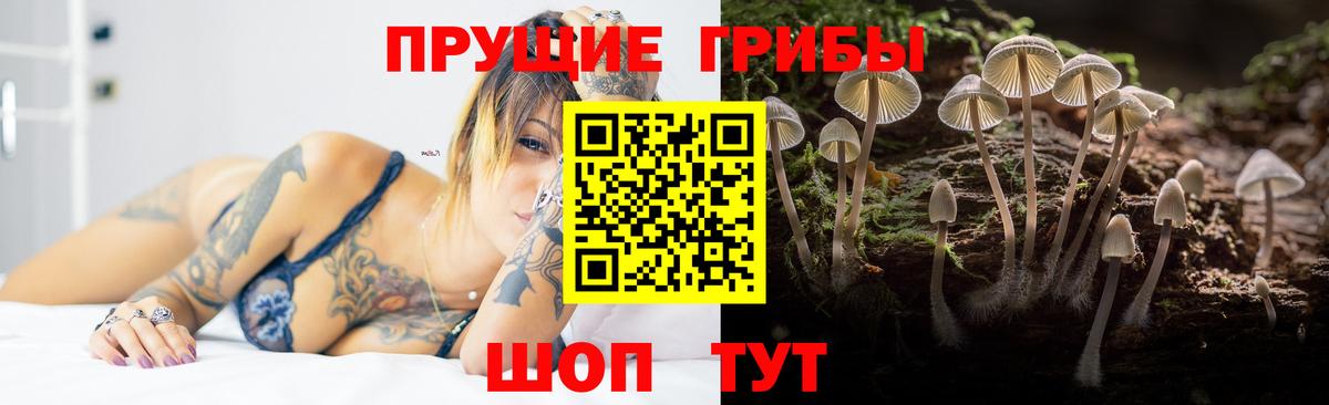 Берёзовский  Галлюциногенные грибы прущие грибы  Вход с VPN 