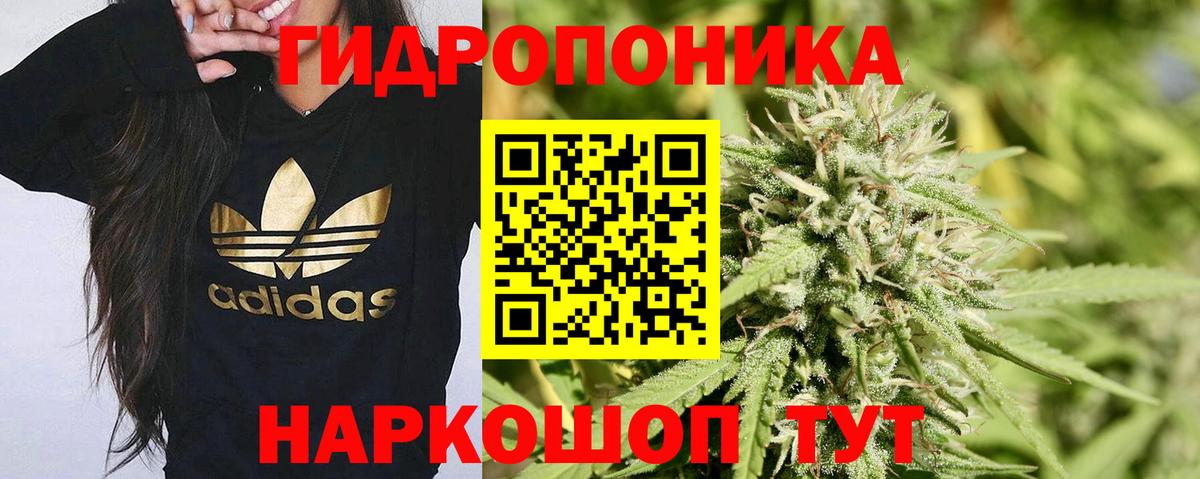 Бошки марихуана ГИДРОПОН Берёзовский